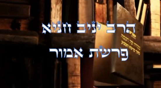 נקודה של חכמה מפרשת השבוע- אמור